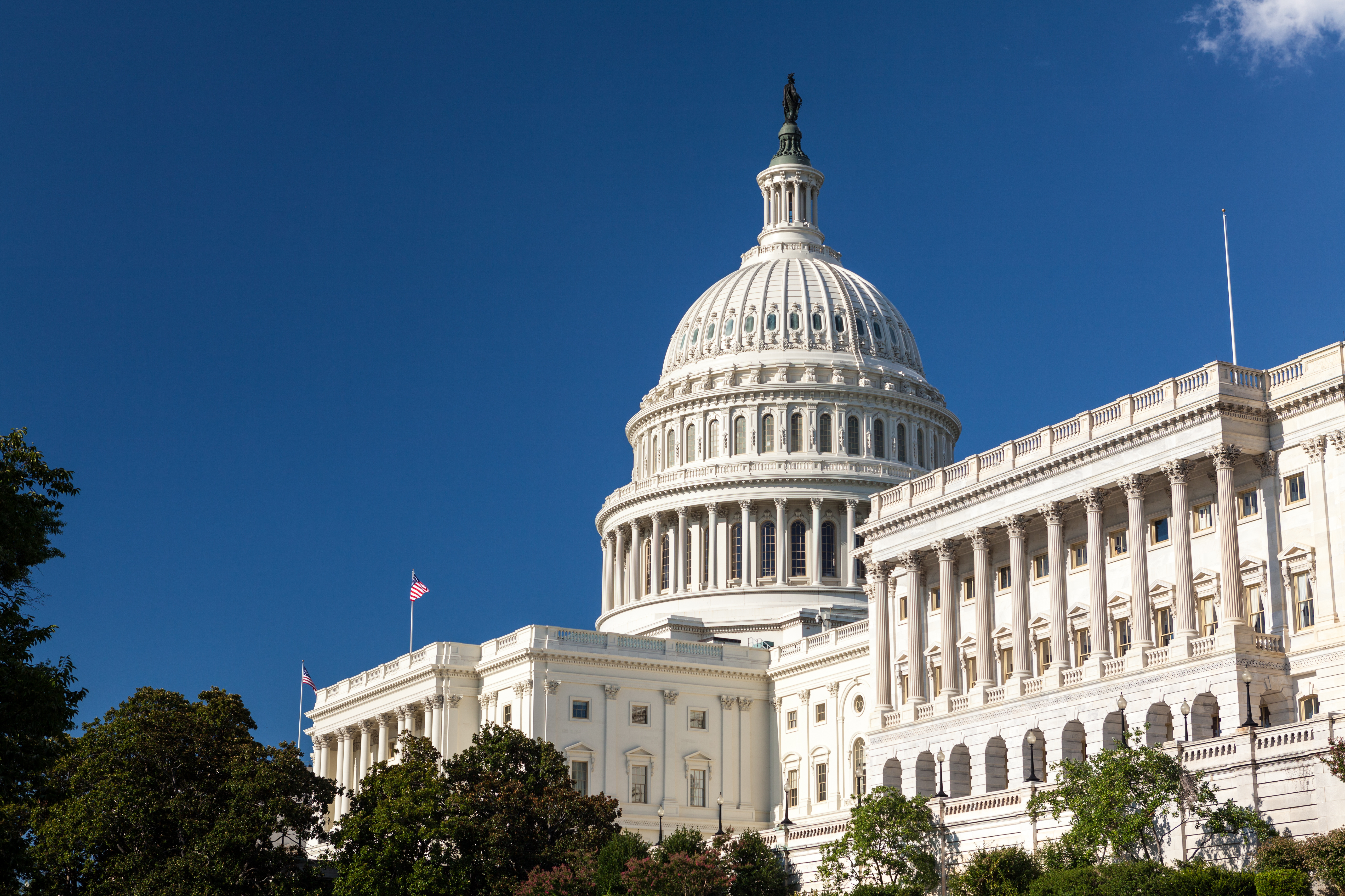 U.S. Capitol